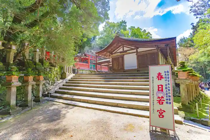 春日大社 若宮(春日若宮)(奈良県)