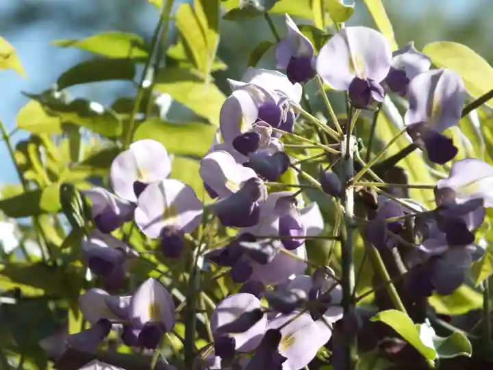 志那神社のその他建物