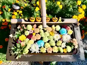 法輪寺の手水舎(2020年11月01日(日) 00時22分29秒投稿)