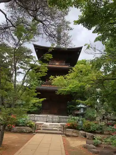 豪徳寺の塔