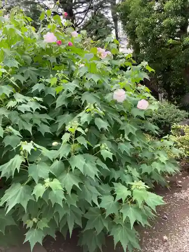浄土宗南命山善光寺(東京都)