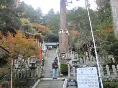 鞍馬寺(京都府)
