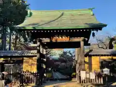 豪徳寺の山門