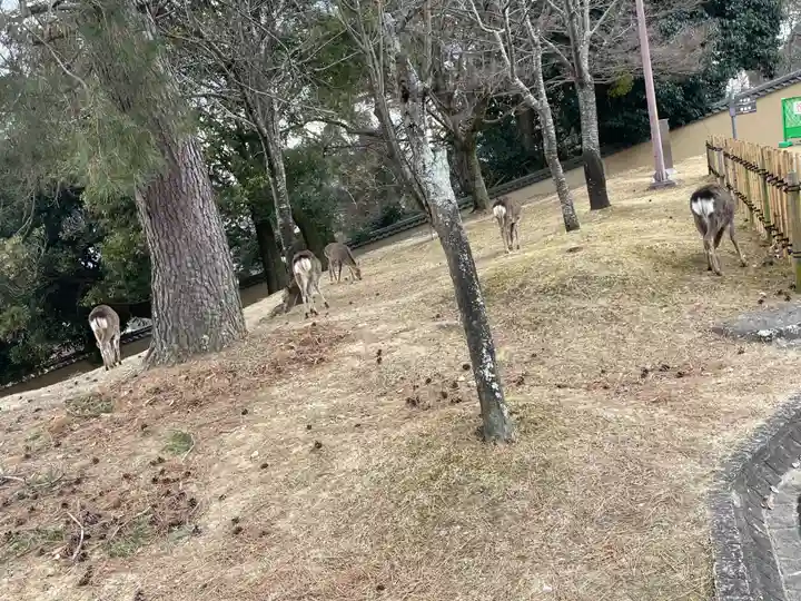 東大寺戒壇院戒壇堂(奈良県)