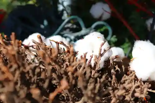 三津厳島神社のその他建物