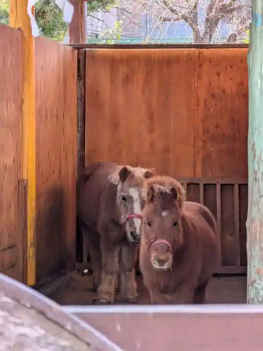 五方山熊野神社(東京都)