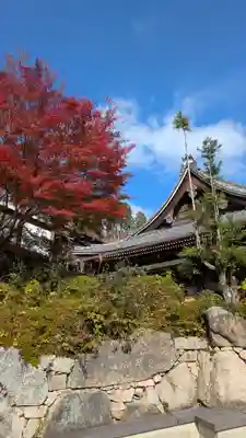 善峯寺(京都府)