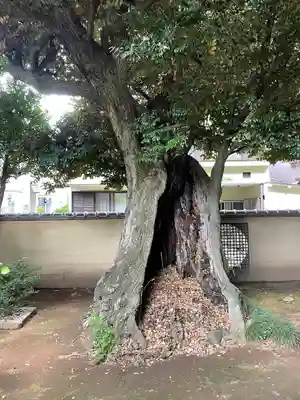 天王寺(東京都)