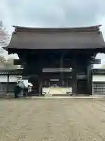 瑞龍寺の{uncategorized: "未分類", other: "その他", undefined: "問題あり", building: "その他建物", grave: "お墓", sacred_gate: "鳥居", guardian: "狛犬", statue: "像", buddha: "仏像", history: "歴史", nature: "自然", garden: "庭園", animal: "動物", pagoda: "塔", temizu: "手水舎", mountain_gate: "山門・神門", sanctuary: "本殿・本堂", subordinate: "末社・摂社", art: "芸術", scenery: "景色", jizo: "地蔵", ema: "絵馬", goshuin: "御朱印", omikuji: "おみくじ", items: "授与品その他", amulet: "お守り", goshuincho: "御朱印帳", eats: "食事", festival: "お祭り", votive_dance: "神楽", shichigosan: "七五三参", wedding: "結婚式", experience: "体験その他", initially: "初詣", around: "周辺", anti_infection: "感染症対策"}
