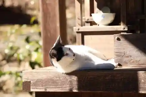 玉野御嶽神社(愛知県)