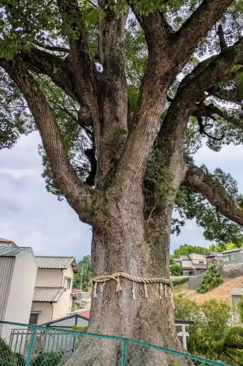 松尾寺(大阪府)