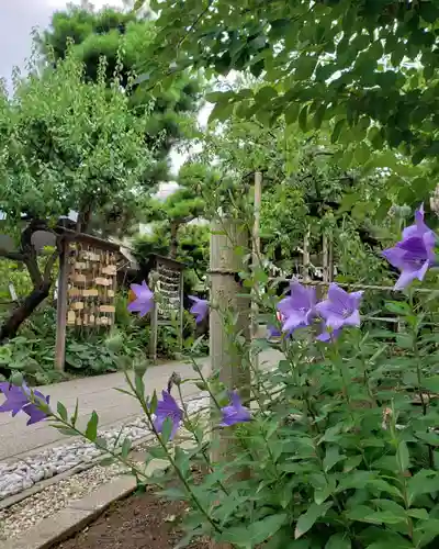鳩森八幡神社のその他建物