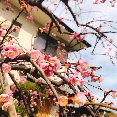 龍王寺の景色