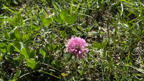磐神社(岩手県)
