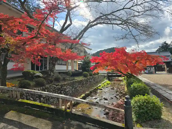 金剛寺(大阪府)