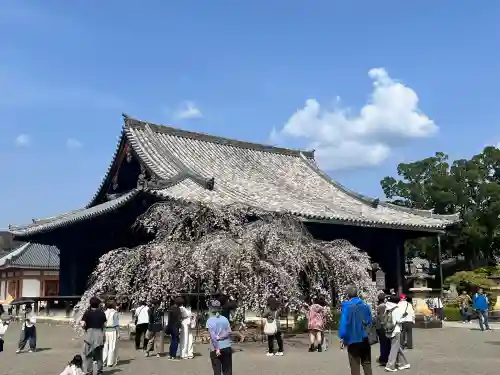 道成寺(和歌山県)
