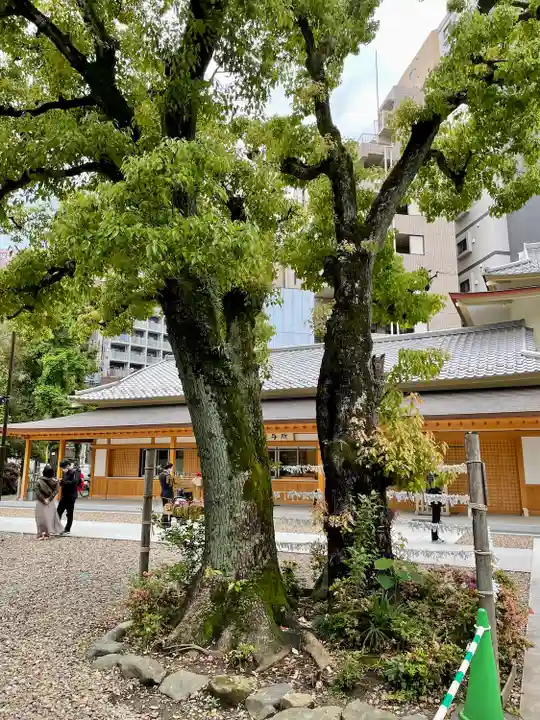 蒲田八幡神社の自然