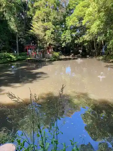 狭井坐大神荒魂神社(狭井神社)(奈良県)