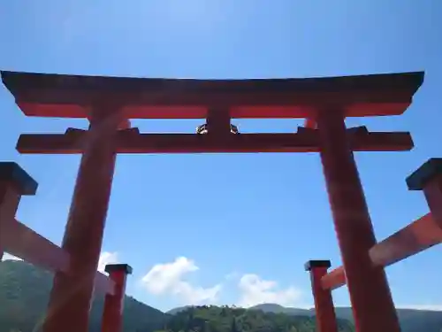 箱根神社の鳥居