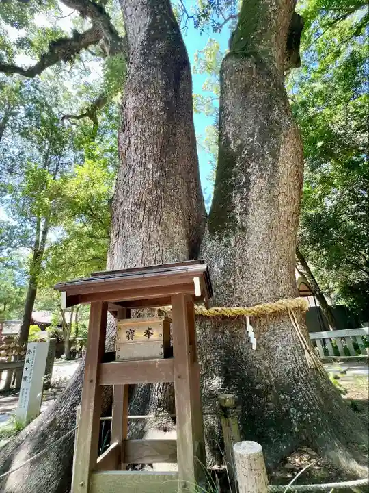 伊弉諾神宮(兵庫県)