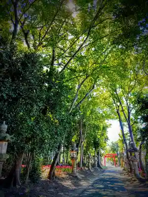 伊福部神社の自然