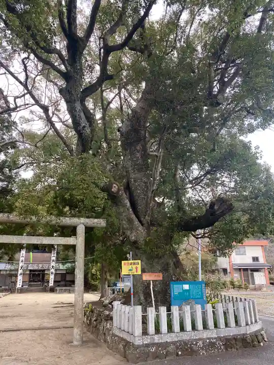 熊野三所大神社(浜の宮王子)の自然