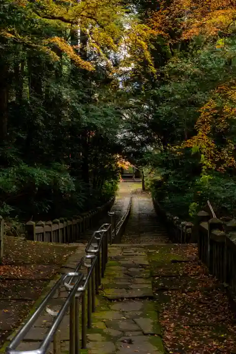 柞原八幡宮(大分県)