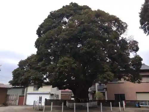 川俣神社(三重県)