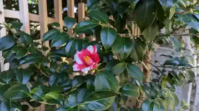 大豊神社(京都府)
