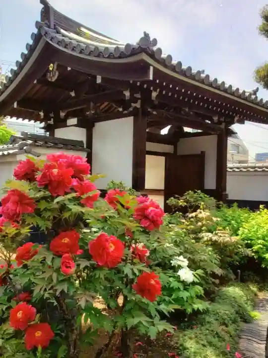 圓照寺(東京都)