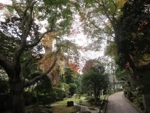 報国寺の庭園