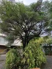 牛天神北野神社の建物その他