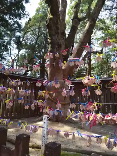 天岩戸神社(宮崎県)
