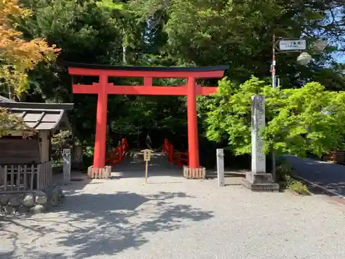 北畠神社の鳥居