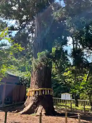 志波彦神社・鹽竈神社(宮城県)
