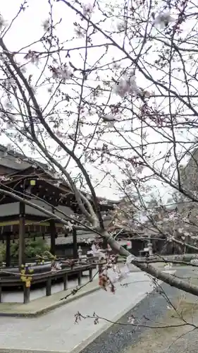 平野神社(京都府)