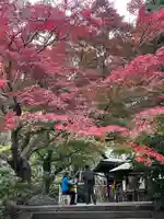 鎌倉宮(神奈川県)