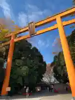 川越氷川神社(埼玉県)