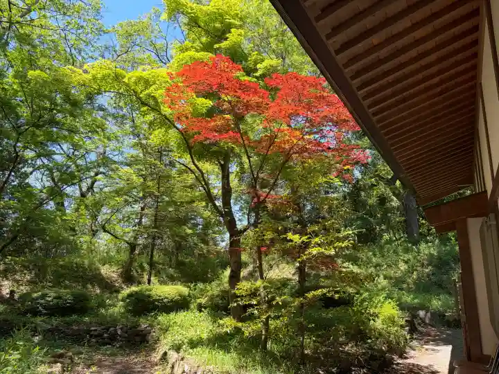 武田神社の{uncategorized: "未分類", other: "その他", undefined: "問題あり", building: "その他建物", grave: "お墓", sacred_gate: "鳥居", guardian: "狛犬", statue: "像", buddha: "仏像", history: "歴史", nature: "自然", garden: "庭園", animal: "動物", pagoda: "塔", temizu: "手水舎", mountain_gate: "山門・神門", sanctuary: "本殿・本堂", subordinate: "末社・摂社", art: "芸術", scenery: "景色", jizo: "地蔵", ema: "絵馬", goshuin: "御朱印", omikuji: "おみくじ", items: "授与品その他", amulet: "お守り", goshuincho: "御朱印帳", eats: "食事", festival: "お祭り", votive_dance: "神楽", shichigosan: "七五三参", wedding: "結婚式", experience: "体験その他", initially: "初詣", around: "周辺", anti_infection: "感染症対策"}
