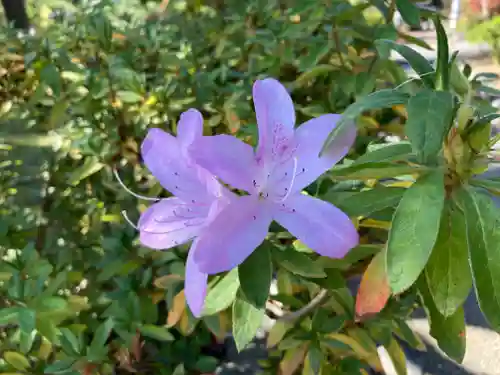 開成山大神宮(福島県)