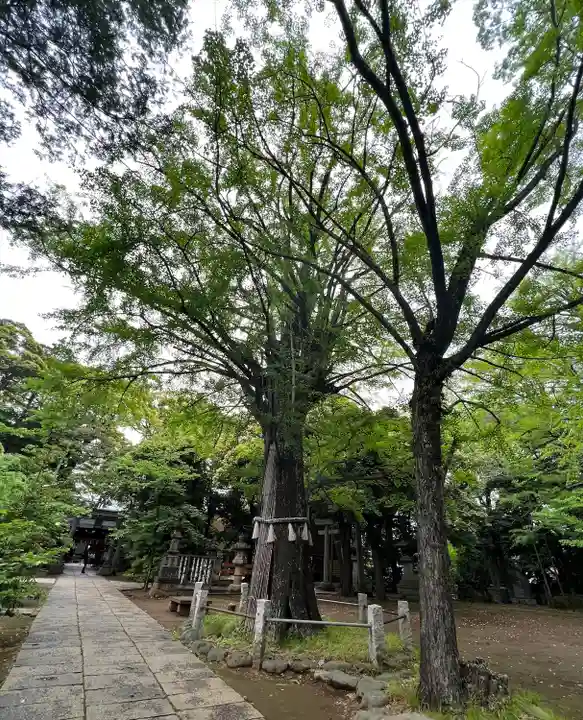 赤坂氷川神社(東京都)