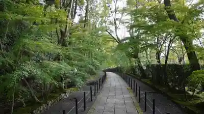 光明寺（粟生光明寺）のその他建物