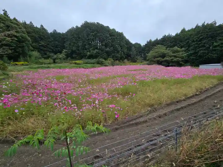高天彦神社(奈良県)