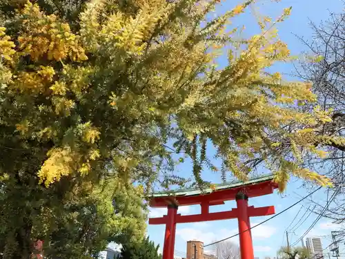 尼崎えびす神社の鳥居