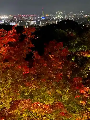 清水寺の景色