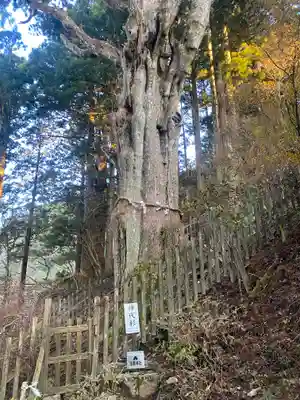 玉置神社(奈良県)