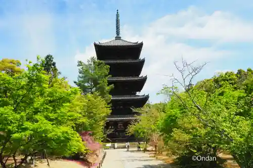 仁和寺(京都府)