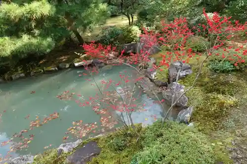 根来寺 智積院の庭園