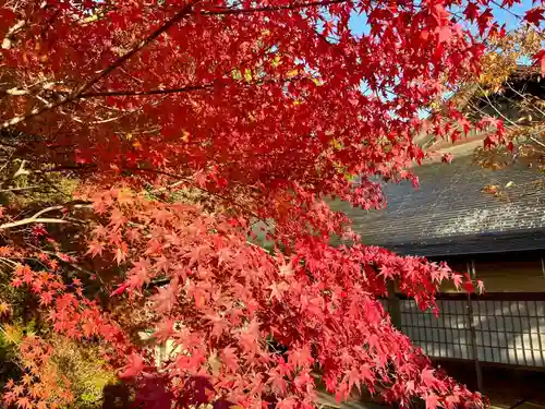 伊勢の国 四天王寺の自然