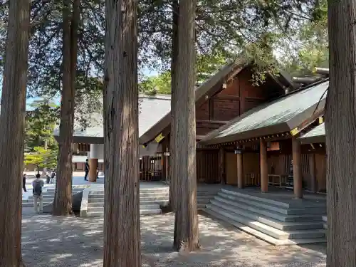 北海道神宮(北海道)